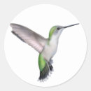 Recherche de rouge gorge autocollants Colibri