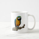Recherche de tropiques tasses Orange
