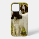 Recherche de chèvre iphone coques Bétail