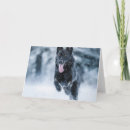 Recherche de loup noir vœux cartes Animal