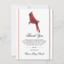 Recherche de cardinal bird Aquarelle