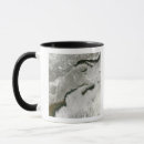 Recherche de congelé tasses Géographie
