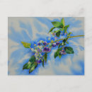 Recherche de bleuet cartes postales Fruit