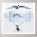 Recherche de stern posters Photographie