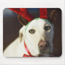 Recherche de noël chien tapis souris Renne