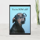 Recherche de dobie vœux cartes Chiot