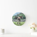 Recherche de poulain horloges Poney