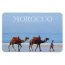 Recherche de chameau magnets Afrique