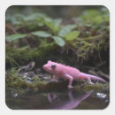 Recherche de axolotl mexicain autocollants Rose