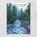 Recherche de arbre heureux cartes postales Arbres