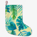 Recherche de plantes chaussette de noël Botanique