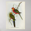 Recherche de john gould posters 19e