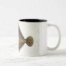 Recherche de andrea tasses Kruger