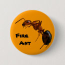 Recherche de fourmis badges Entomologie