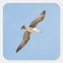 Recherche de voiliers autocollants Goéland