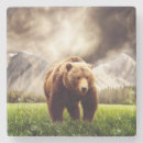 Recherche de ours gris dessous de verres Animaux