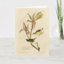 Recherche de kentucky vœux cartes Illustration