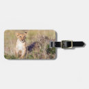 Recherche de lion de bébé accessoires Gros chat