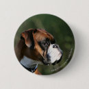 Recherche de profil badges Boxeur