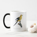 Recherche de histoire naturelle tasses Illustration