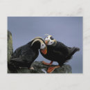 Recherche de rebord cartes postales Nature