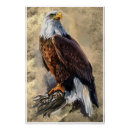 Recherche de dessin d aigle posters Nature