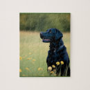 Recherche de une canine puzzles Animaux