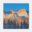 Recherche de rocheux canadien Alberta