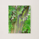 Recherche de arbre puzzles Vert