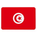 Recherche de drapeau de la tunisie magnets Tunisien