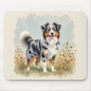 Recherche de chien berger australien tapis souris Chiens