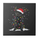 Recherche de arbre noir carreaux Animal