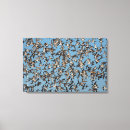 Recherche de oiseau en vol art Photographie de la faune