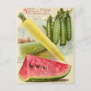Recherche de graines cartes postales Fruit