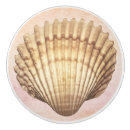 Recherche de coquillage boutons et poignées de porte Moderne