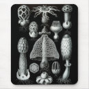 Recherche de négatif tapis souris Vintage
