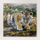 Recherche de tigres puzzles Bébé