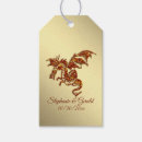 Recherche de midevil Dragon
