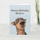 Recherche de le frère anniversaire cartes Animal