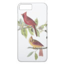 Recherche de cardinal du nord iphone coques Oiseau