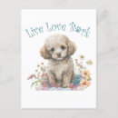 Recherche de caniche français cartes postales Chiot