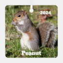 Recherche de écureuil de ornements Animal