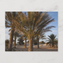 Recherche de désert sahara cartes postales Tourisme