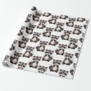 Recherche de raton laveur papier cadeau Animal