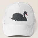 Recherche de cygnes casquettes Cygne noir