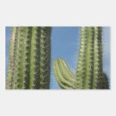 Recherche de barrell autocollants Cactus à baril
