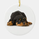 Recherche de rottweiler ornements Animal