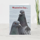 Recherche de pigeon invitations Toute personne