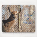 Recherche de arbres forestiers tapis souris Nature