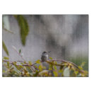 Recherche de colibris planches à découper Jardin